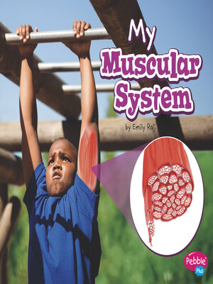 cover image of My Muscular System